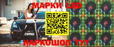гидра Будённовск