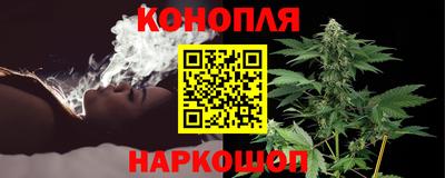гидра Будённовск