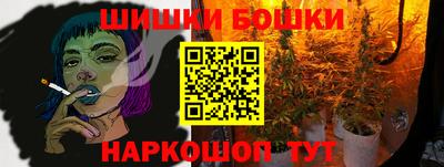 гидра Будённовск