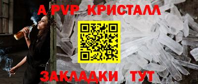 гидра Будённовск
